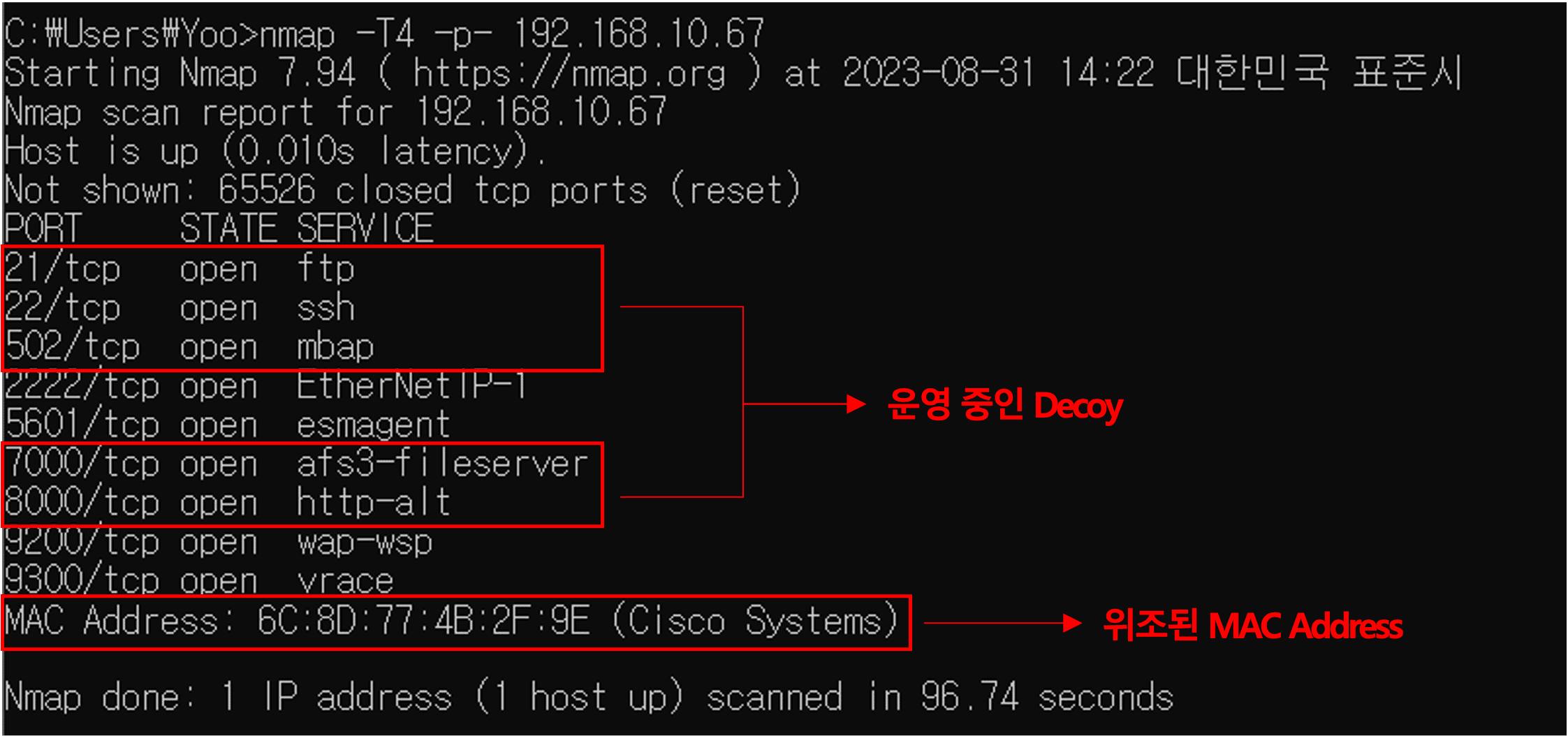Maritime-Specific Decoy